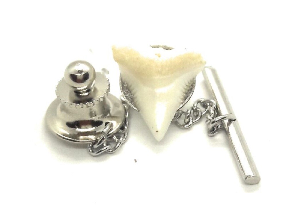 GENUINE SHARK TOOTH TIE TACK / LAPEL PIN