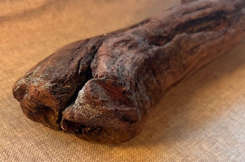 18" x 5" Redwood Driftwood Organic Craft Aquarium Rustic Boho Natural Wood