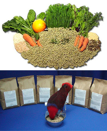TOP's Parrot Pellet Food 3 lb ORGANIC avian nutritious bird diet No Salt / Sugar