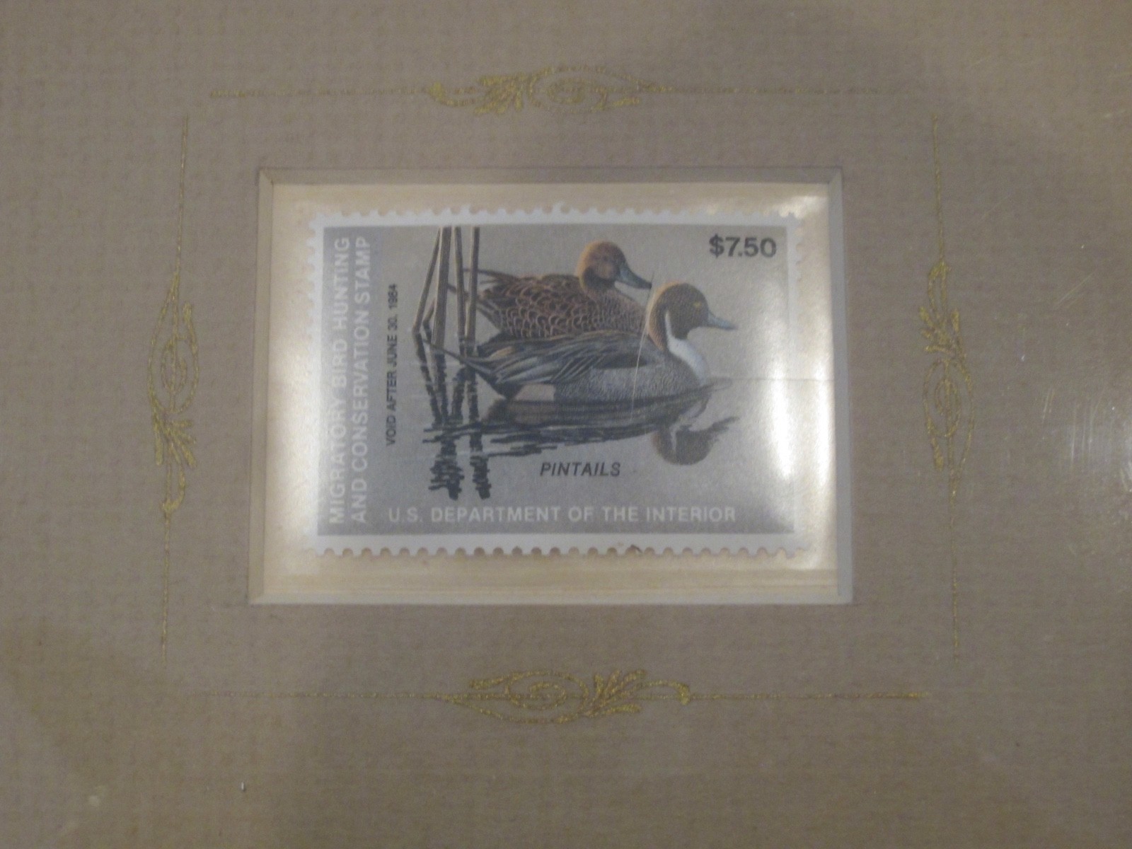 Federal 1984 Framed Duck Stamp