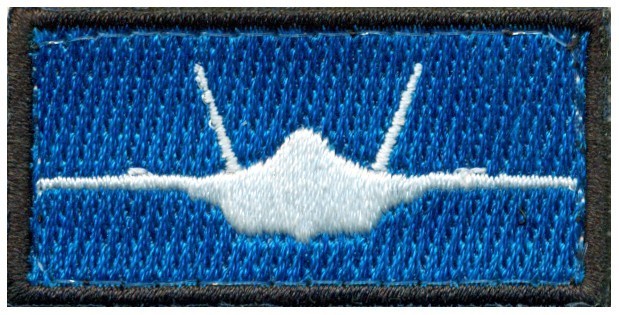 USAF 159th FIGHTER SQUADRON F-35 POCKET TAB PATCH