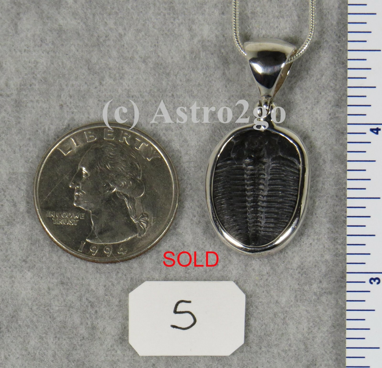 Elrathia Kingii TRILOBITE PENDANT $55 Sterling Silver Jewelry STARBORN CREATIONS