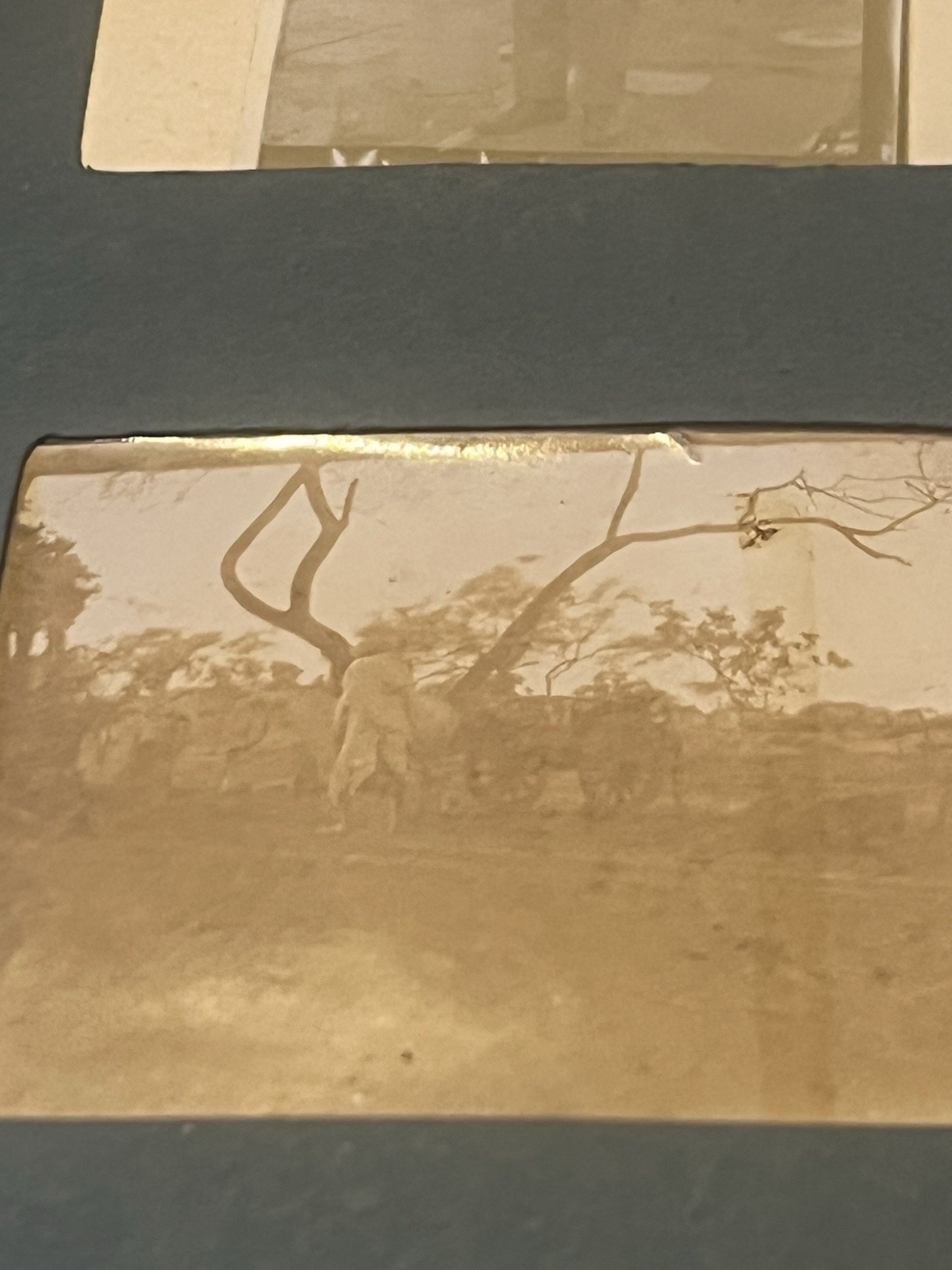 Rare Original Soldier’s Photo Album Egypt WW1 N W Frontier India 1900’s Complete