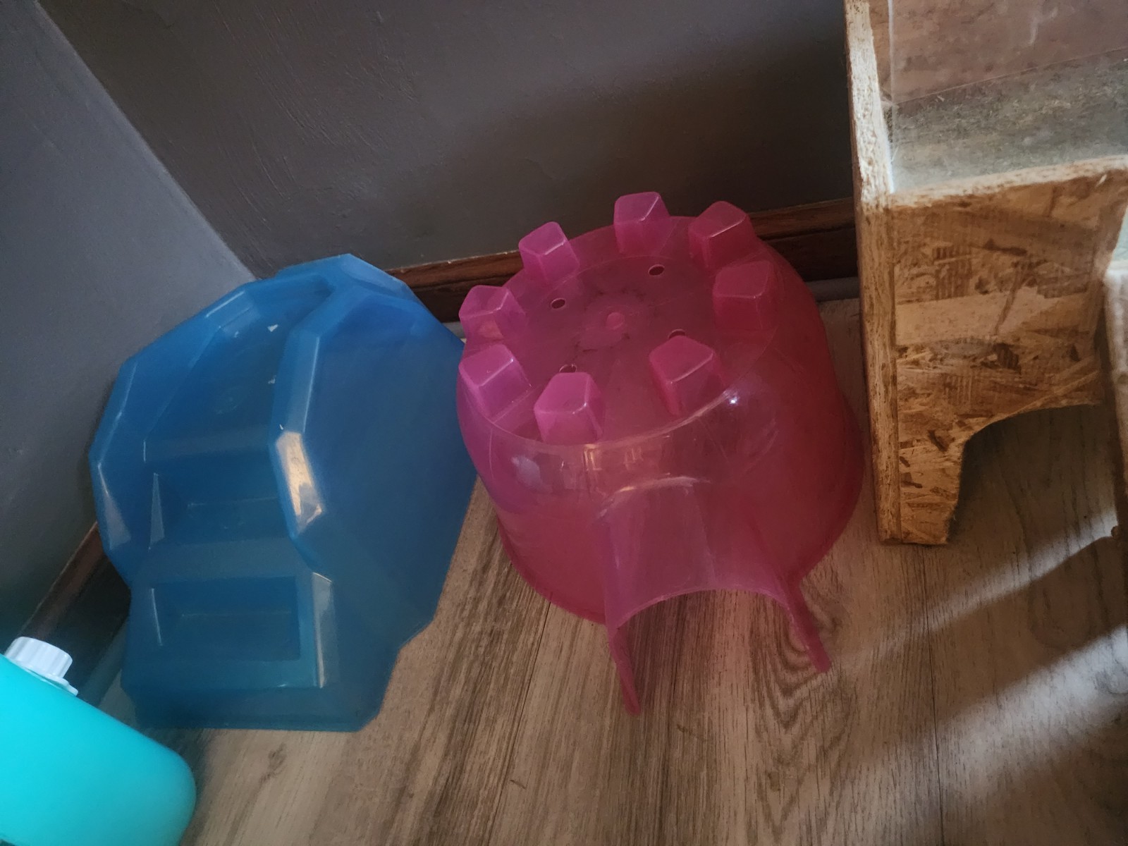 Guinea Pig Accessories Lot, Hideout x3, Water Bottle, Food, Hay, Toys