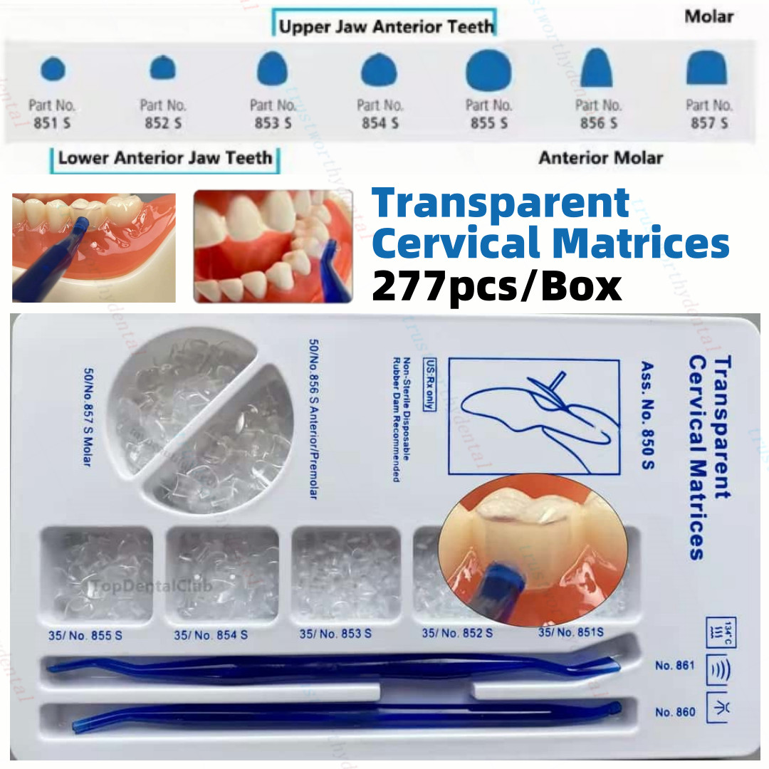 Dental Transparent Cervical Matrices Composite Gingival Retractor Clear Matrix