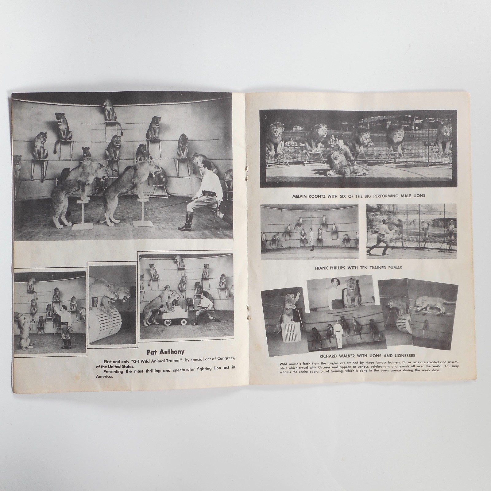 VTG 1953 Jungle Land World Compound Program Mabel Stark CA MGM Circus Lions RARE