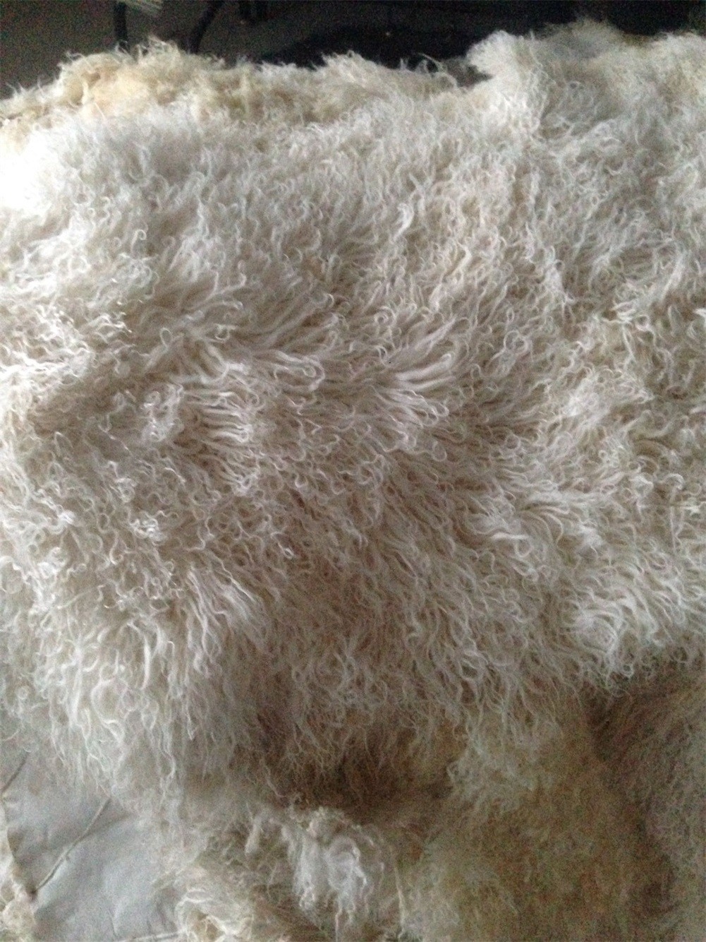 Real Mongolian Fur Throw Tibetan Lambskin Beige Snowtop Fur Rug Plate GenuineHid