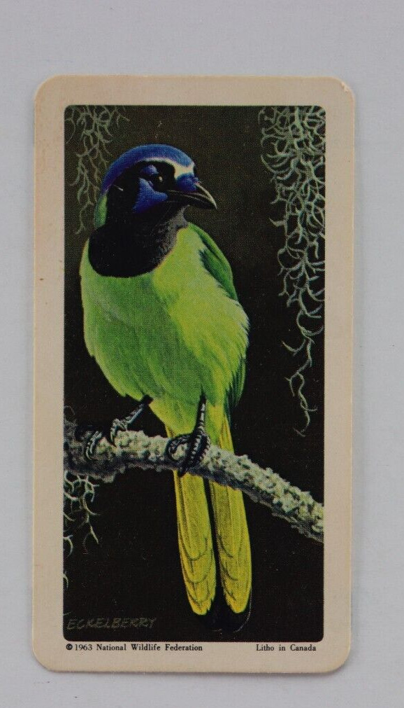 BROOK BOND  GREEN TEA BIRD TRADING CARD 1963 No37