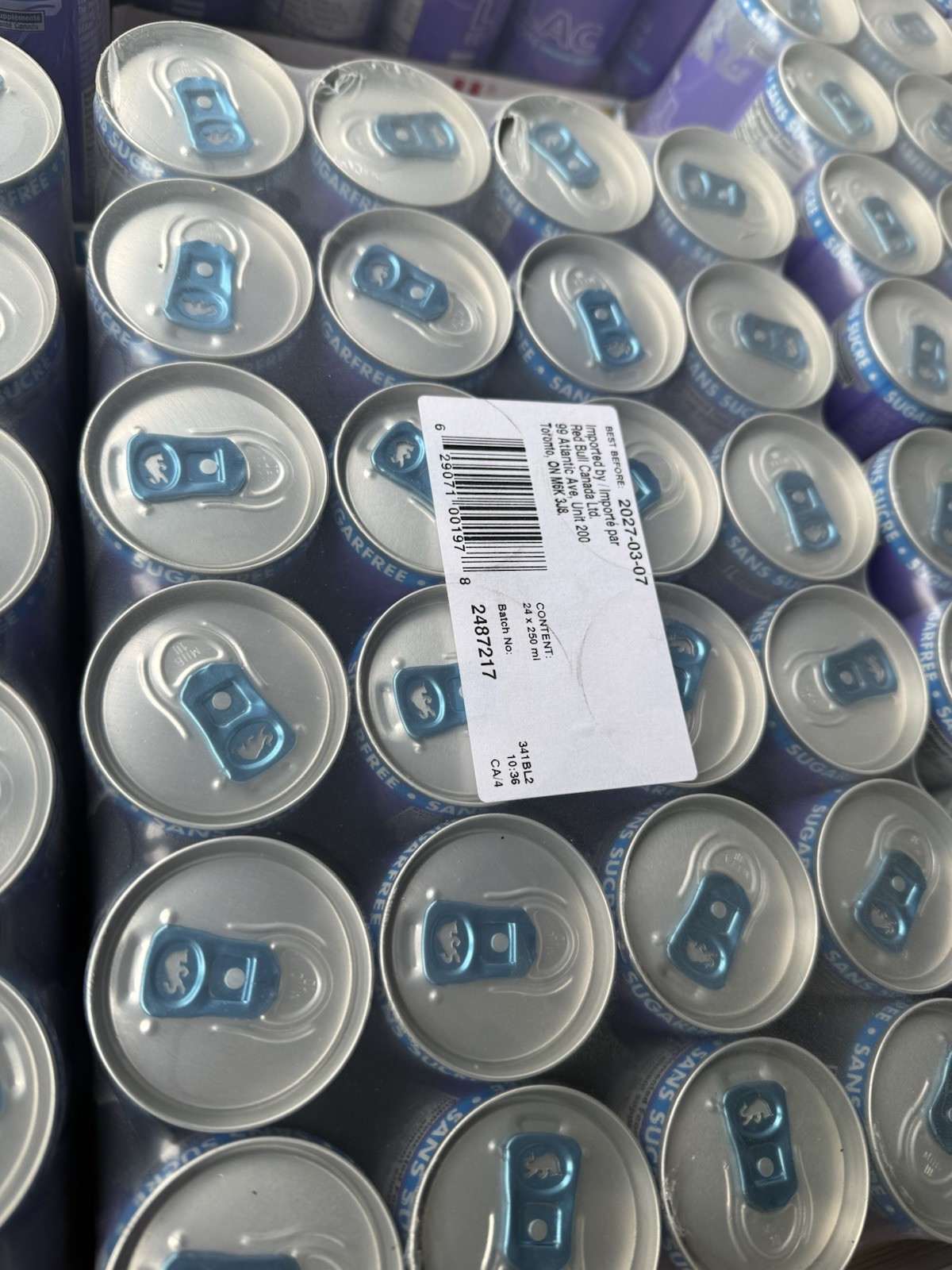 Red Bull Lilac Edition Sugar Free Grapefruit & Blossom 24 Pack 8.4 fl oz IN US!