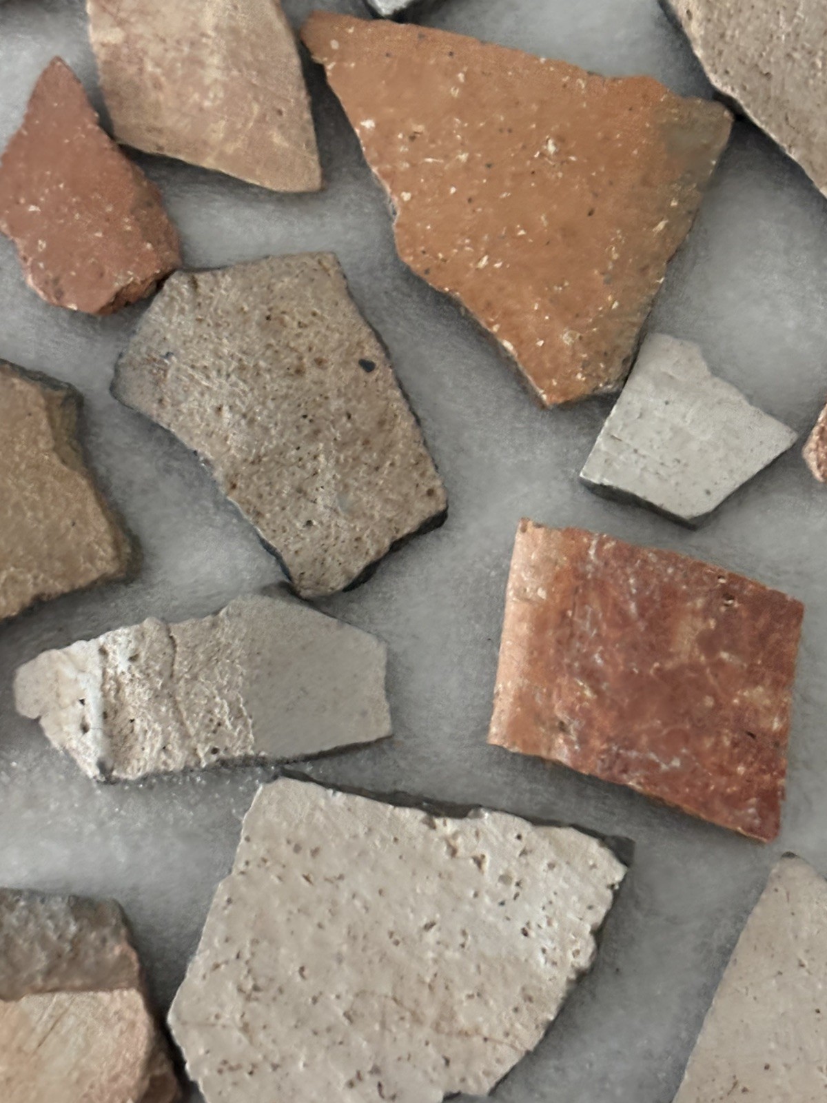 Ancient Anasazi Native American Pottery Shards Arizona L3-D FREE SHIPPING