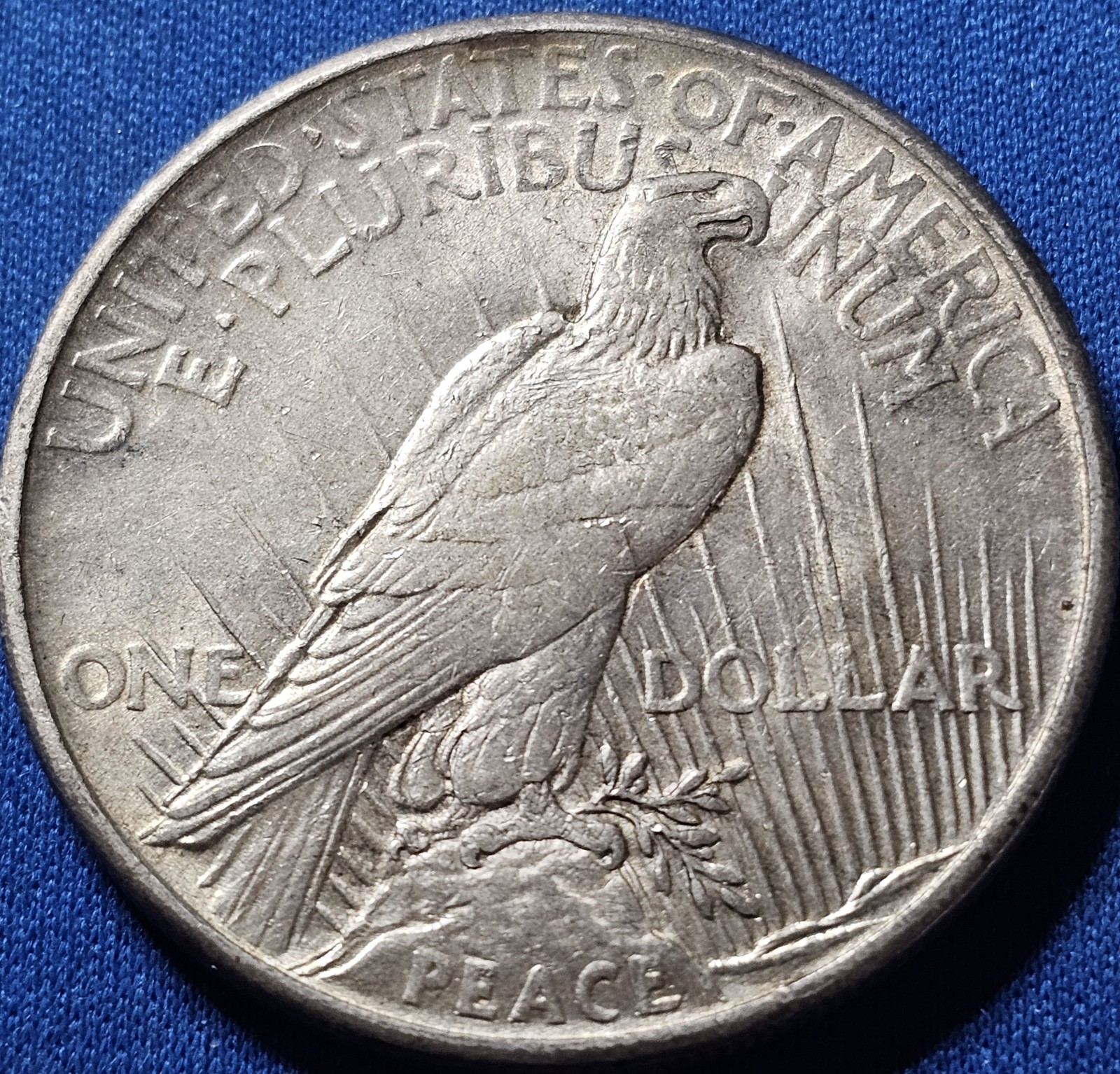 1921 Peace Silver Dollar. High Grade Example!