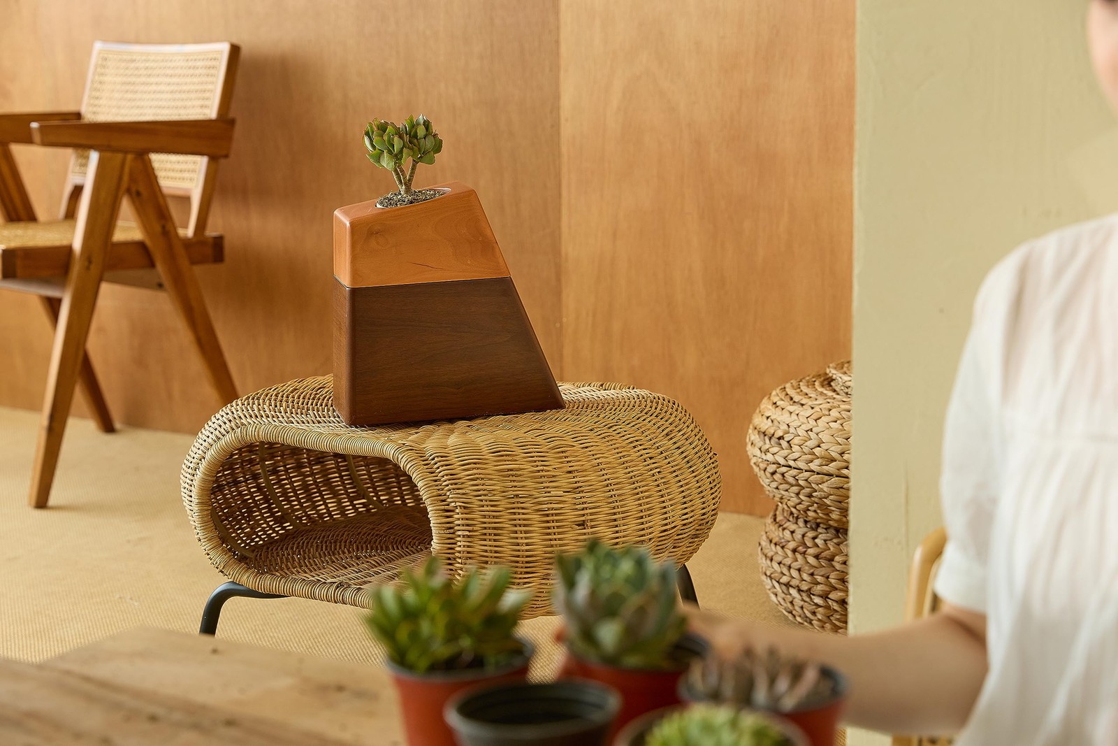 AspenStudio Plant Urn for Adult Human Ashes Cremation Wooden Standard, Wood