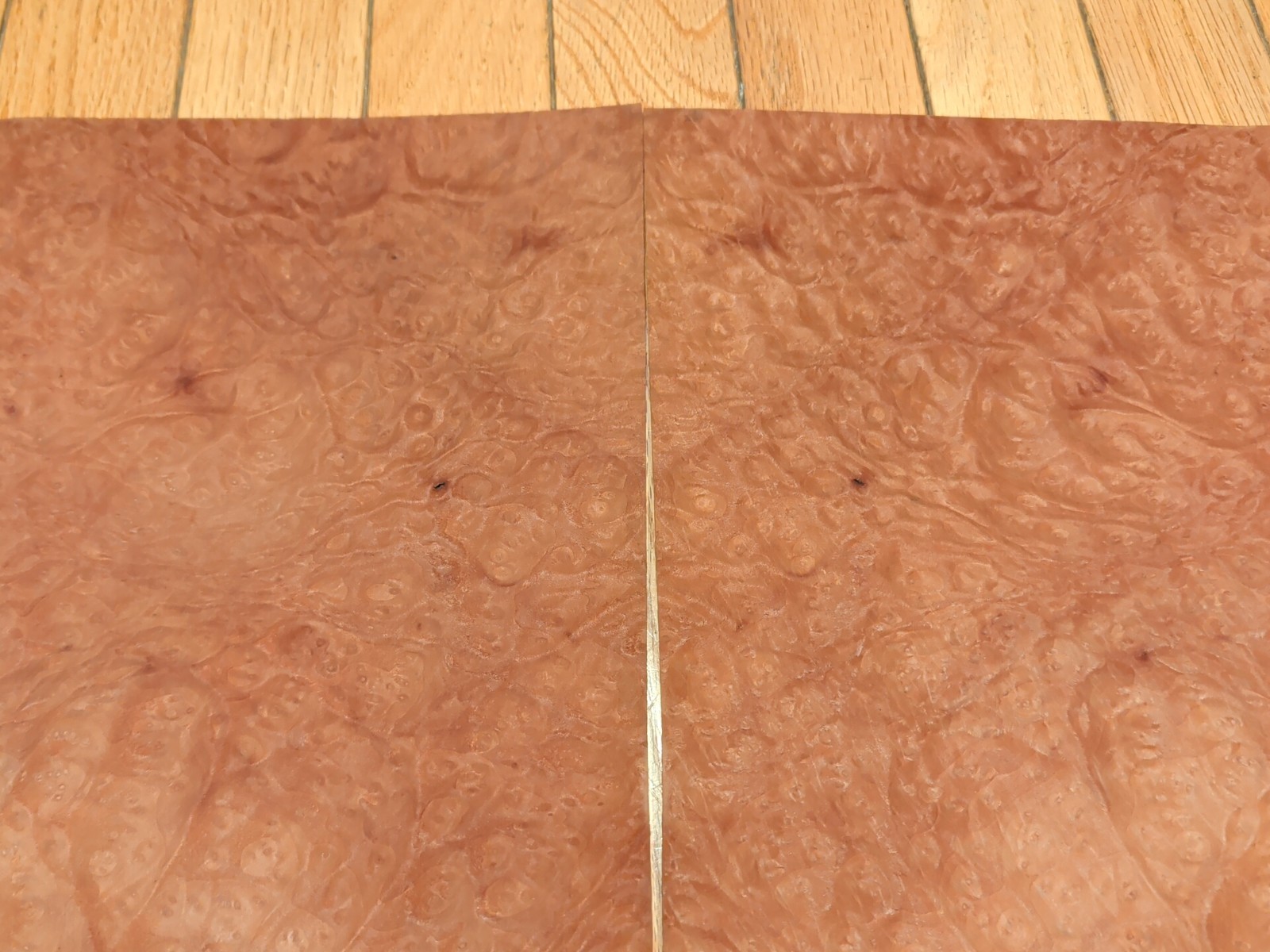 Madrone burl veneer 14 3/4" x 15 1/2" each, 2 pieces wood 1/42" raw