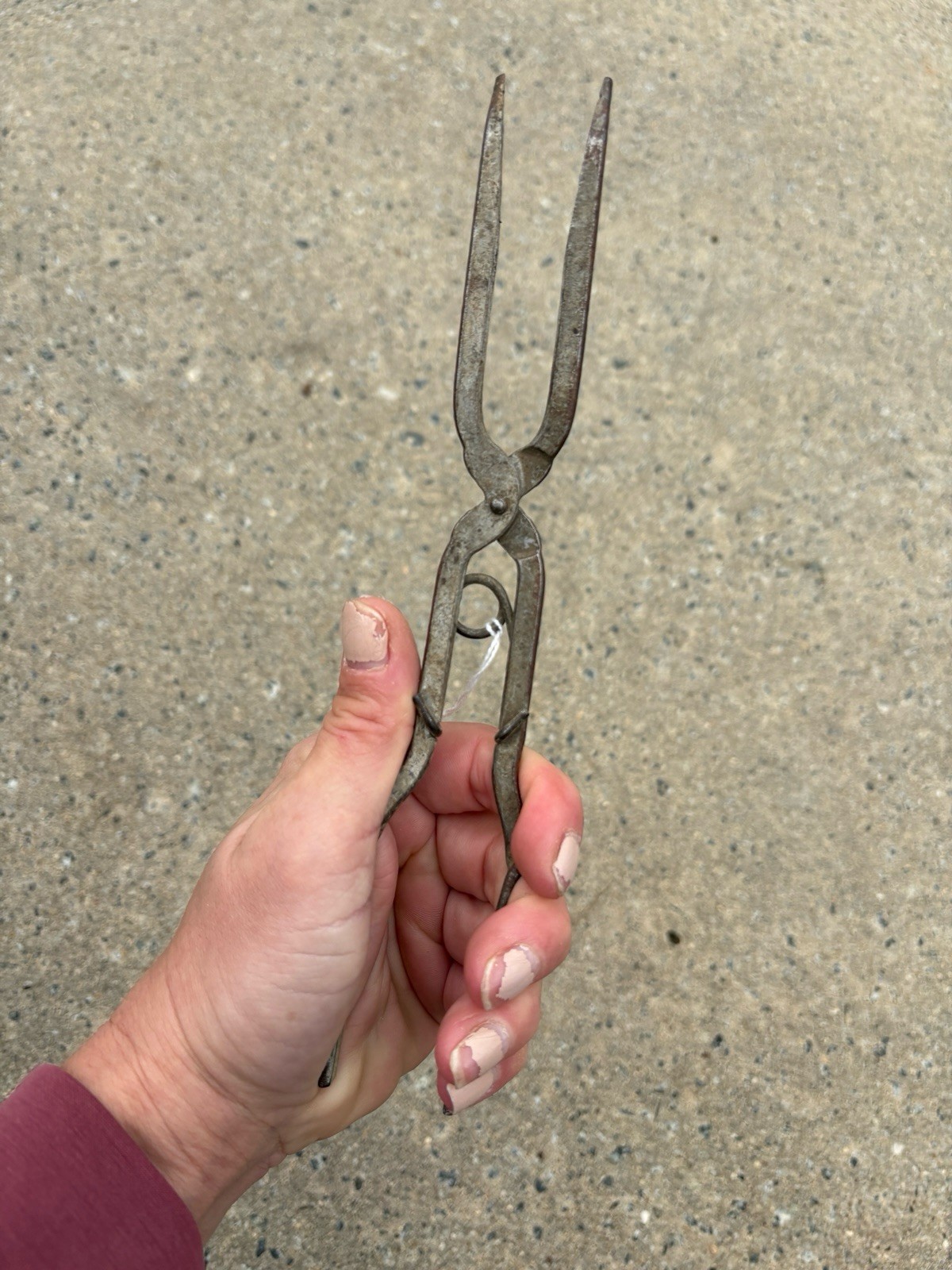 Antique Primitive Crucible Tong Lab Tool Vintage Science Pinchers Rustic Decor