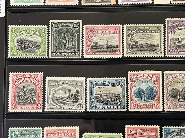 Mozambique Company 1892-1940 Nice Collection Mint Hinged in Stock Sheet 7A080S