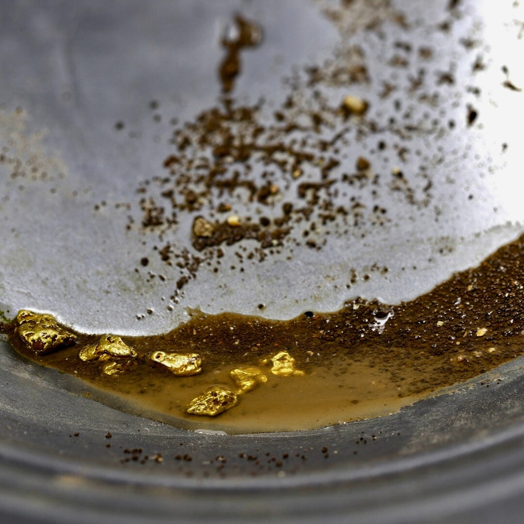 Presidential 10 Gram Gold Nugget Hunt Rich Unsearched Paydirt With Added Gold