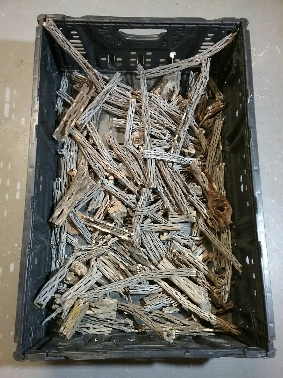 2+ LBS CHOLLA Wood CUTOFFS | Whole Pieces Split Halves Bits | Aquarium, Crafts