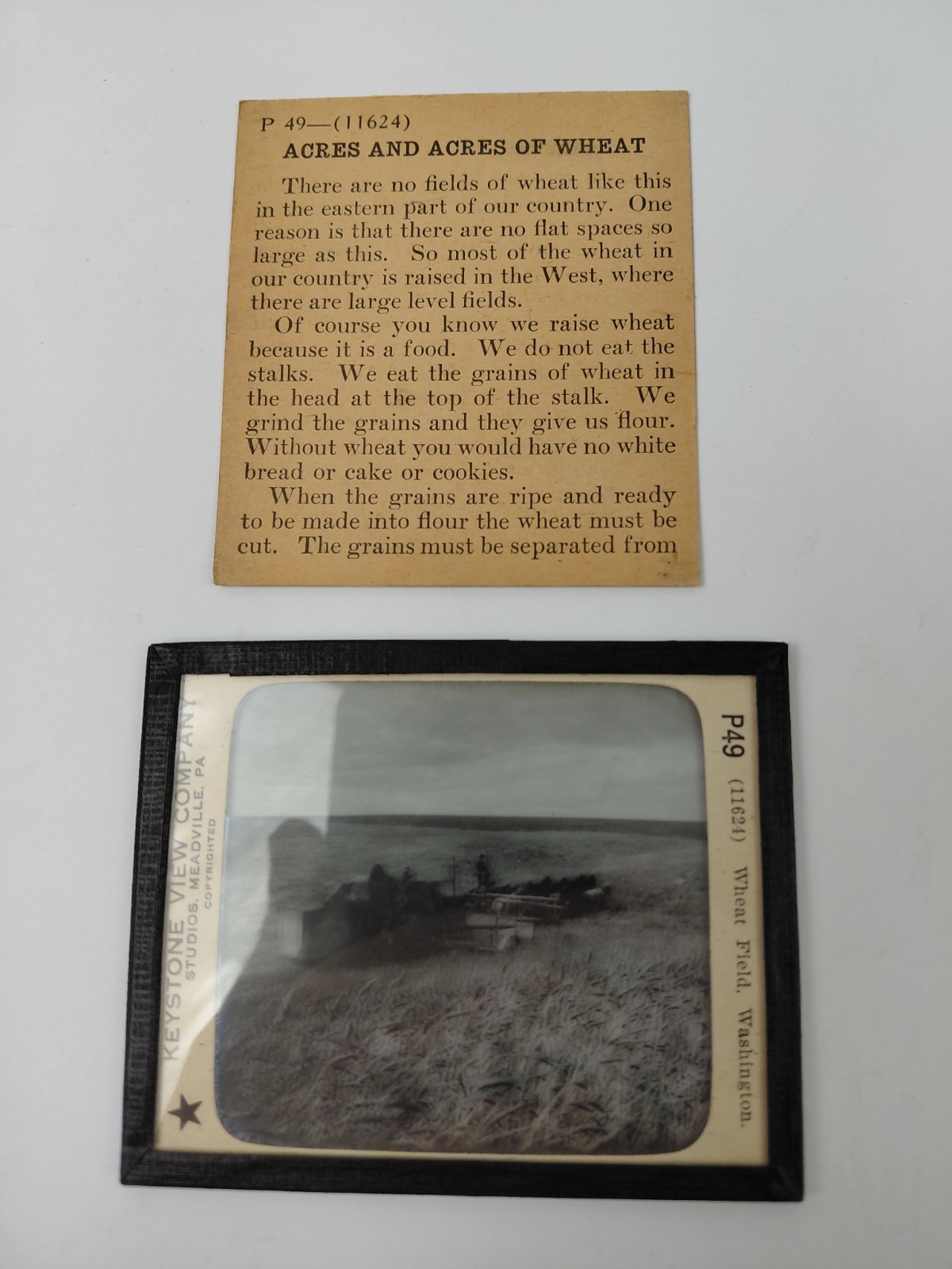 Magic Lantern Glass Slide Photo Keystone P49 Wheat Field, Washington