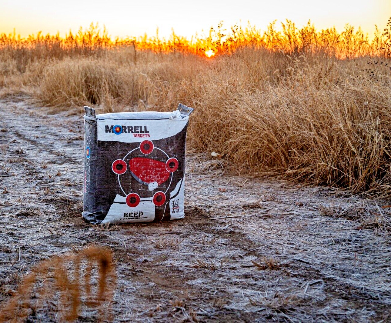 Morrell Keep Hammering Outdoor Range Archery Target Cameron Hanes Endorsed