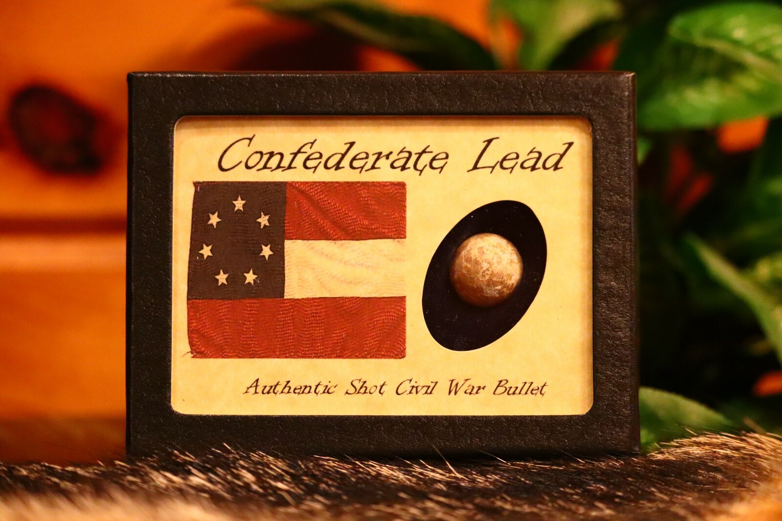 Civil War Bullet Confederate Lead with Display Case and COA