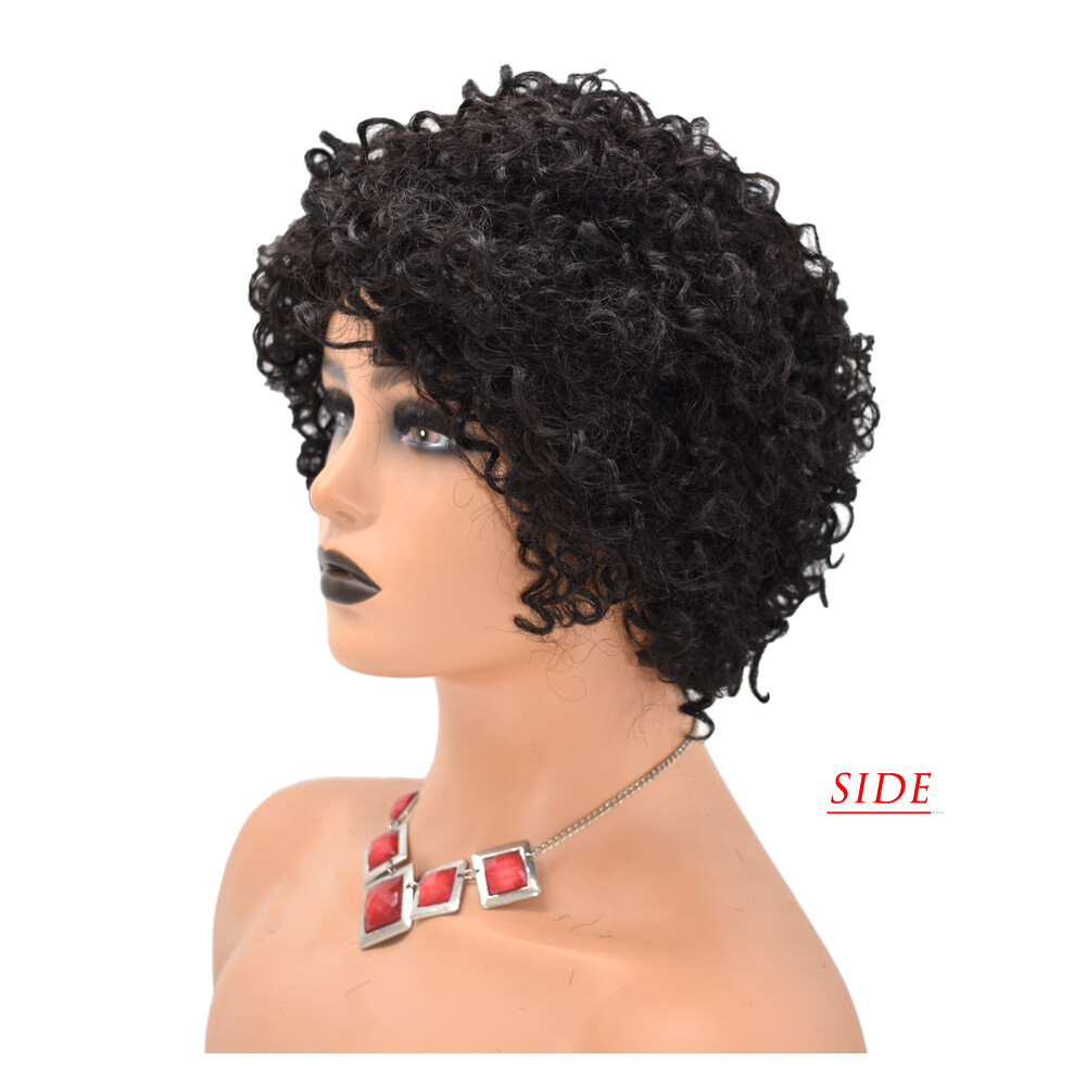 Short Kinky Curly Afro Wigs for Black Women 100% Brazilian Human Hair Natural US