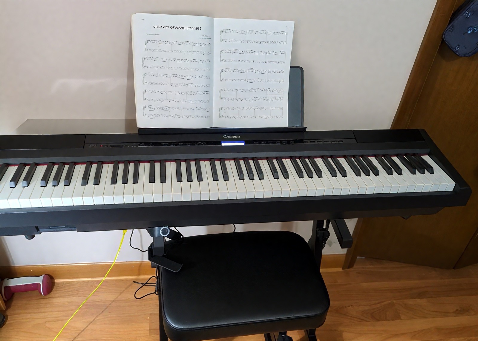 Donner DEP-20 Lite Digital Piano Keyboard With Stand Sustain Pedal Online Lesson