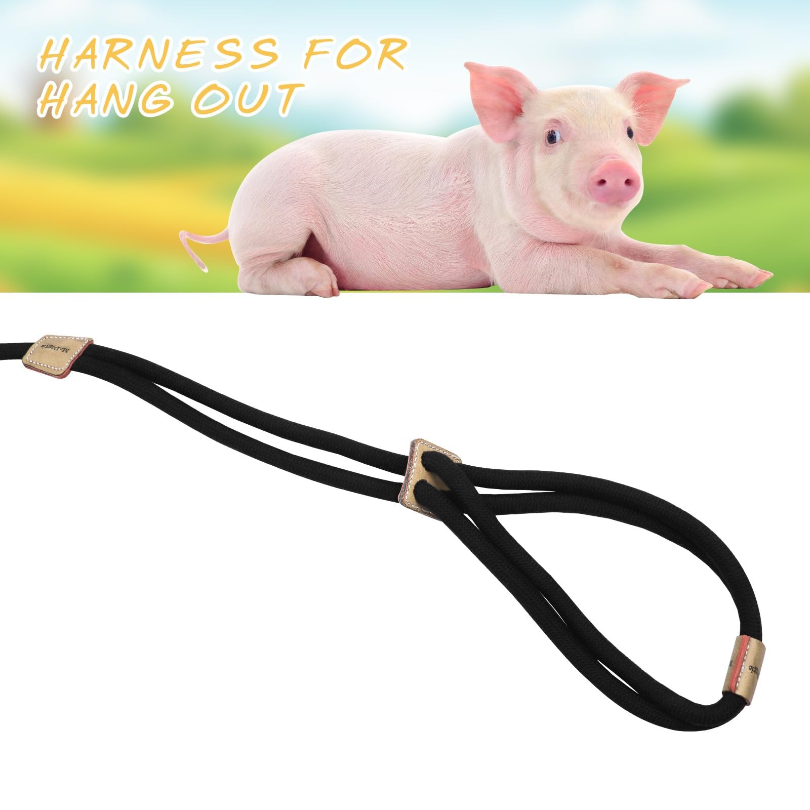 Pig Harness with Adjustable 8 Feet Leash for Small to Medium Pet Pigs Pet