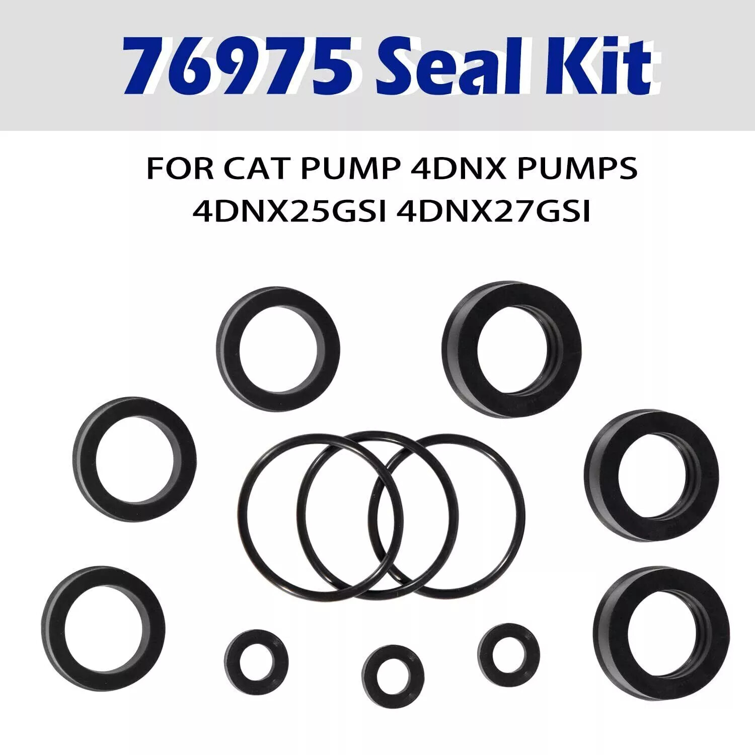 For Cat Pump 4DNX Pumps 4DNX25GSI 4DNX27GSI Seal Kit 76975 Seal Kit 12PCS