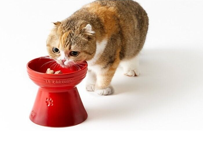 LE CREUSET High Stand Pet Bowl Pet dishes Cat Dog Food water container 8 COLORS
