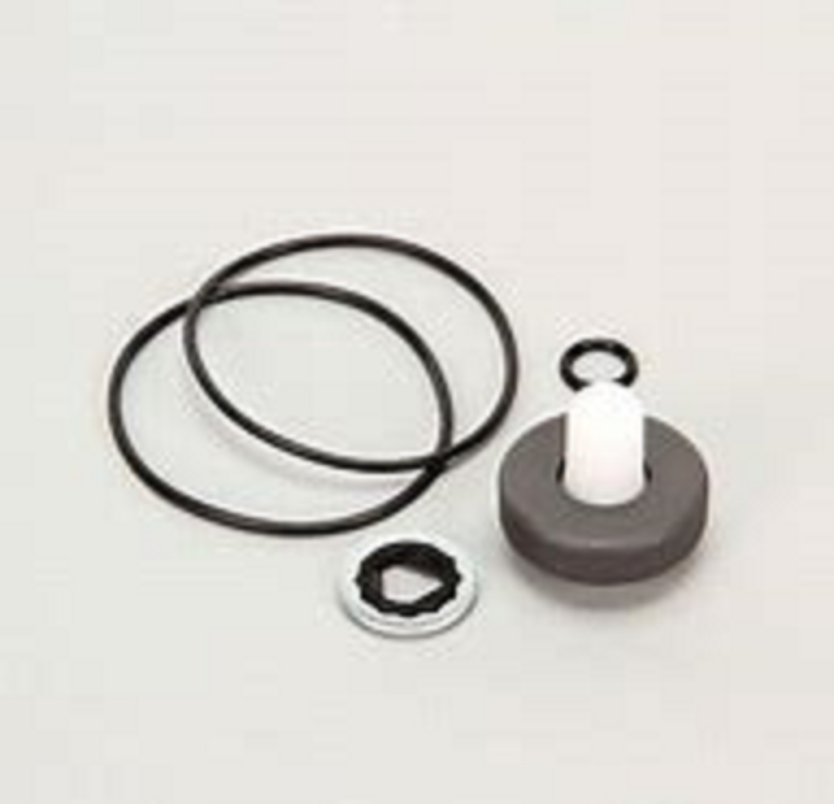 Ace Pumps Repair Kit for 200 Series Motors - RK-BAC-75-HYD-L (41374)