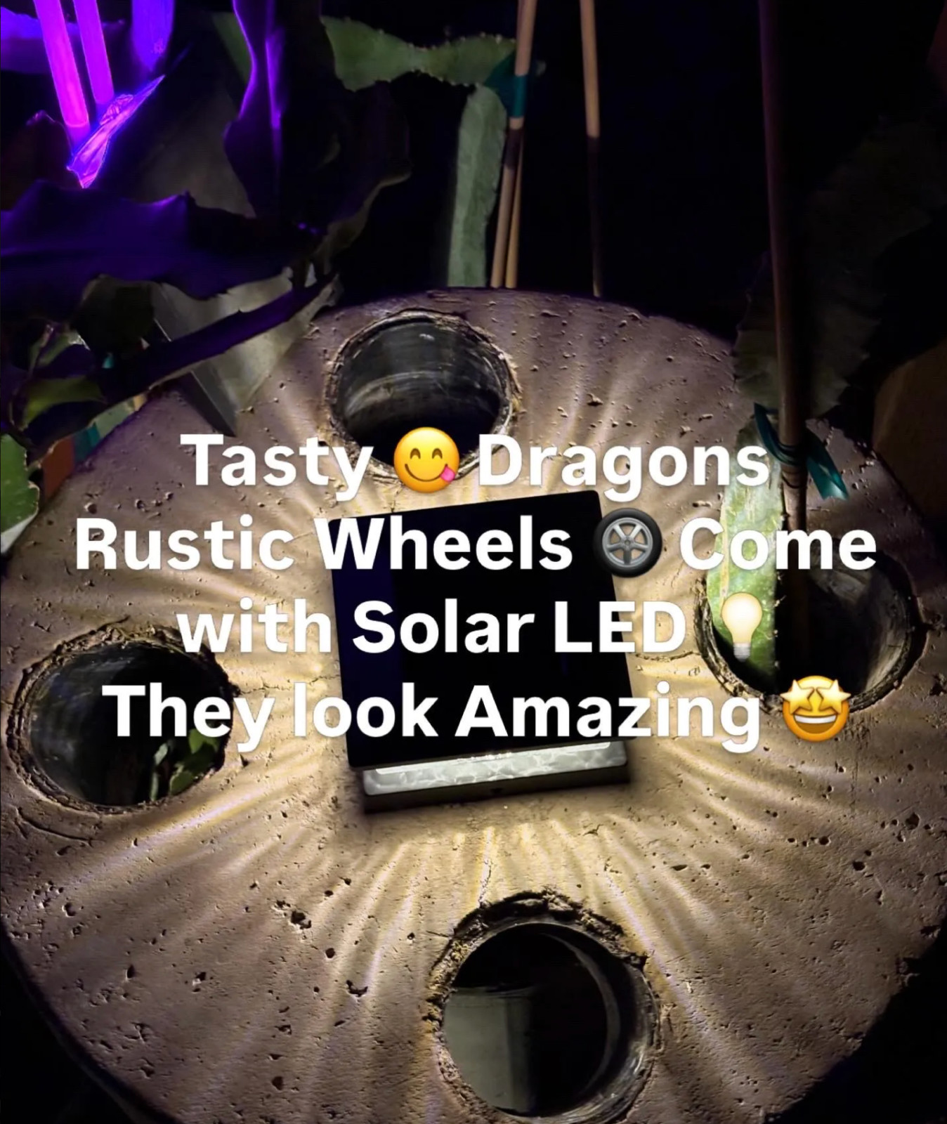 Dragon Fruit Trellis Topper with FREE LED SOLAR LIGHT Screw Direct to 4x4 Post