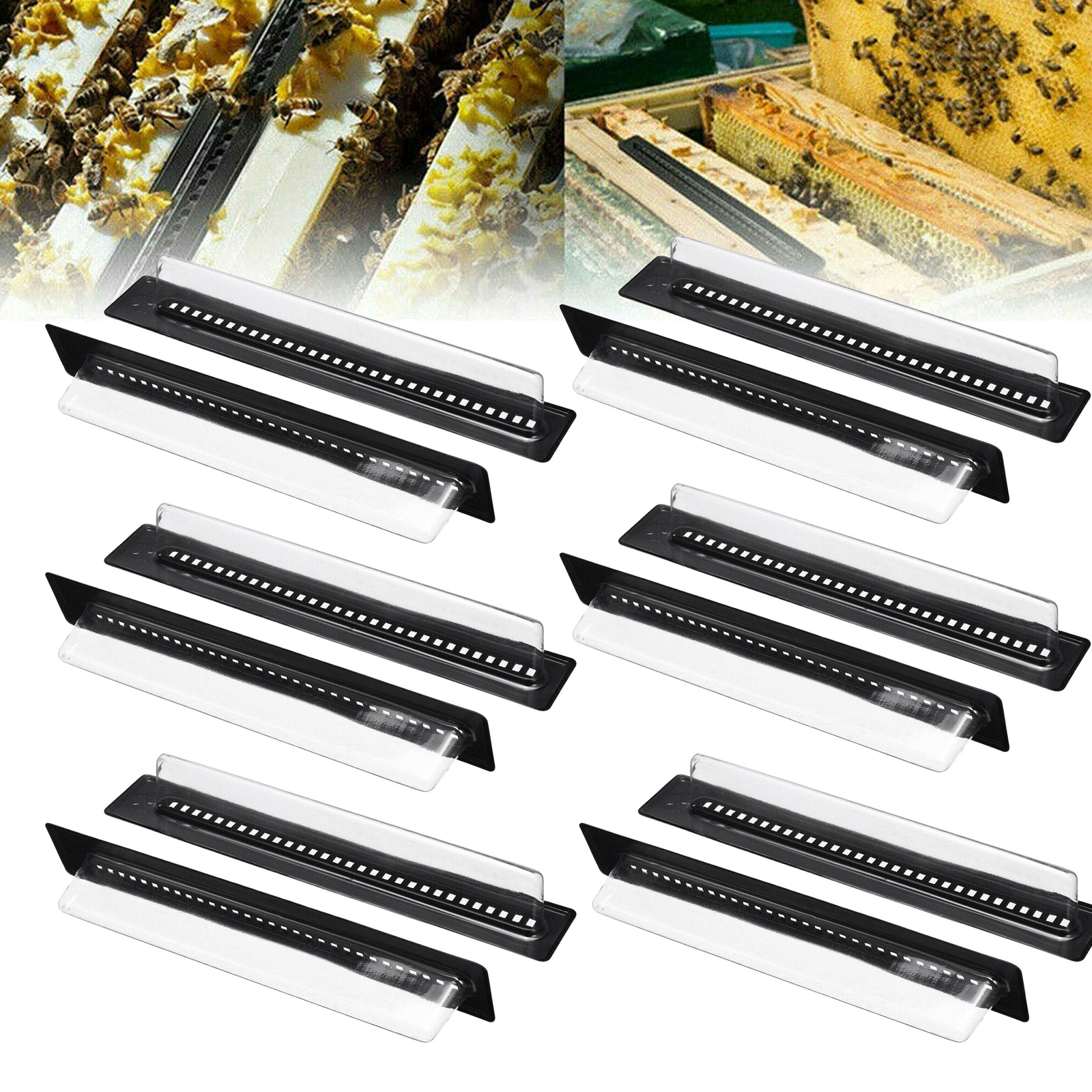 10X Plastic Small Bee Hive Beetle Blaster BeeHive Beetle Trap Beekeeping Tool US