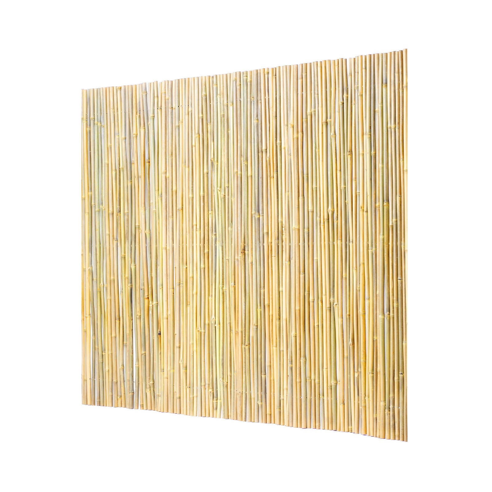 Natural Rolled Bamboo Fence Bamboo Panel 4 ft H x 8 ft L x 0.75 in D.