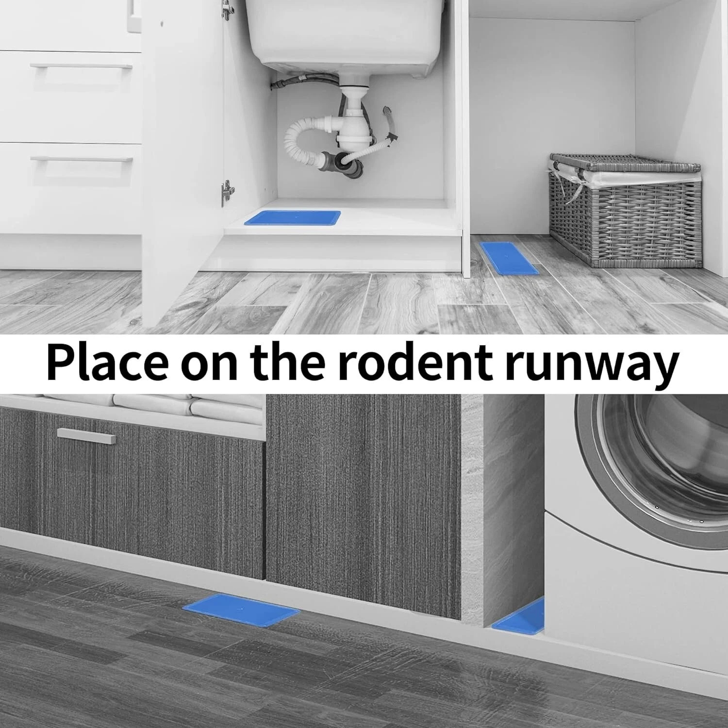 Super Glue Traps 48 Pack for Mice & Snakes, Larger, Heavier, Non-Toxic Glue.