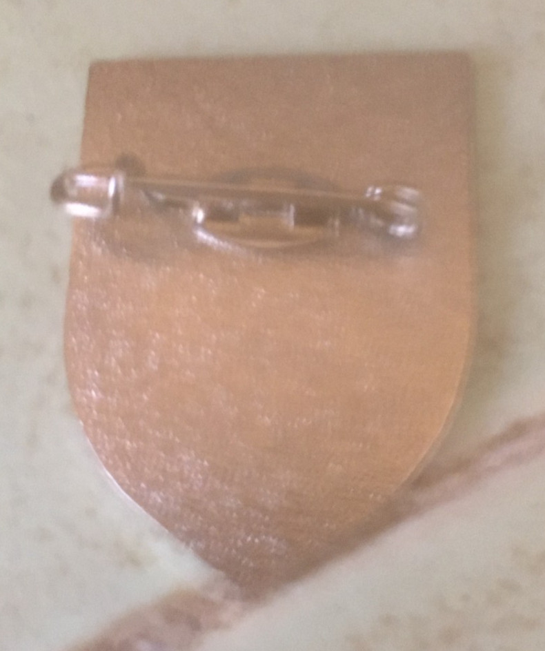 German Skull edelweiss pin badge