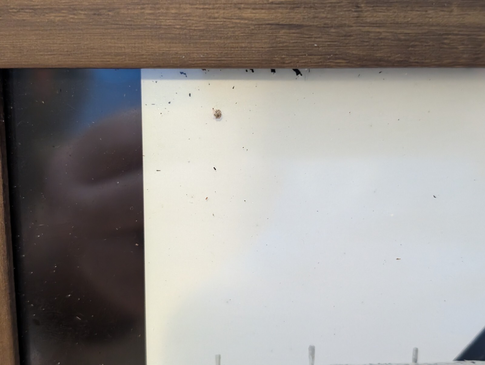 VTG Photo Adams Express For The Army Of The James Civil War Soldiers Framed