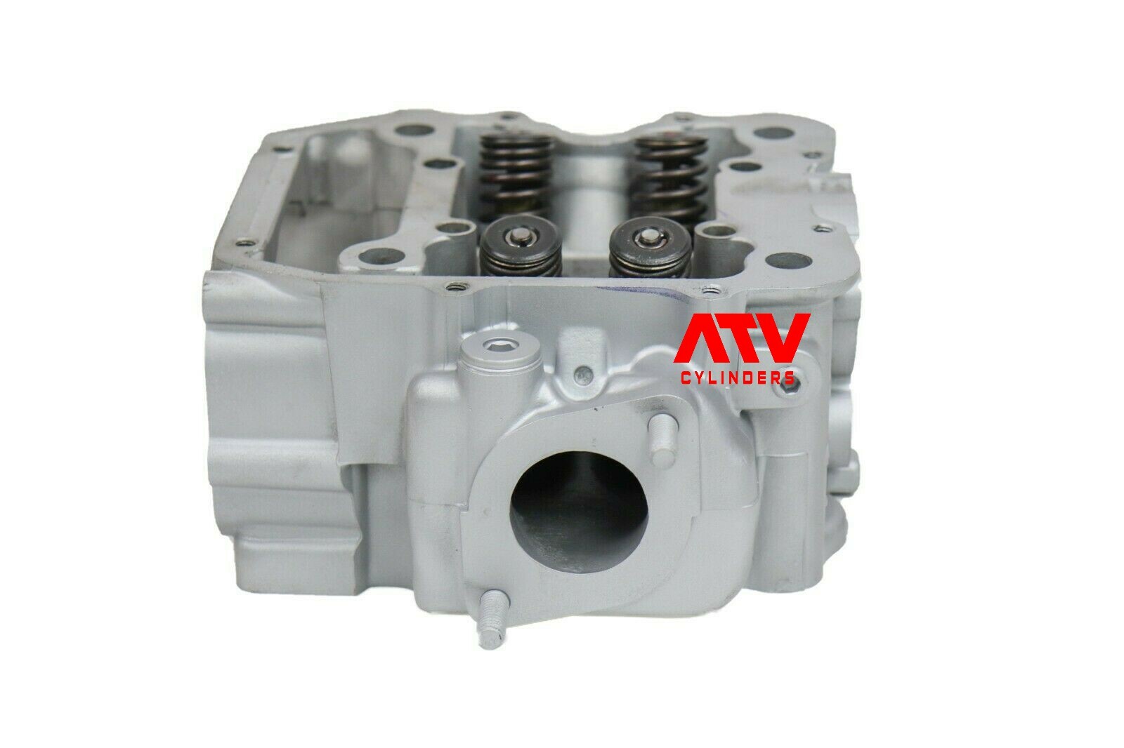 Genuine Polaris Sportsman Scrambler Ranger 500 Cylinder Head Valves Top End Kit