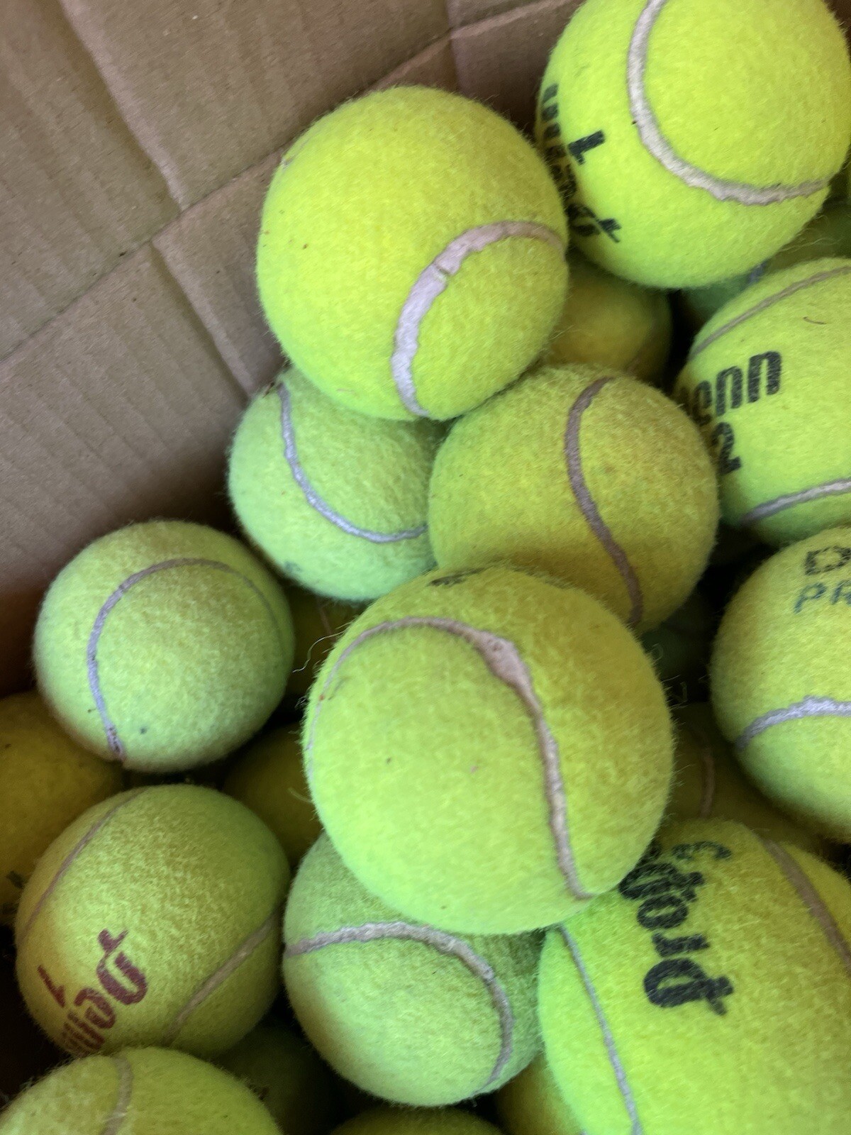 10 of Good Grade used Tennis Balls from Wilson, Dunlop, Penn, Head, etc Dog Toys