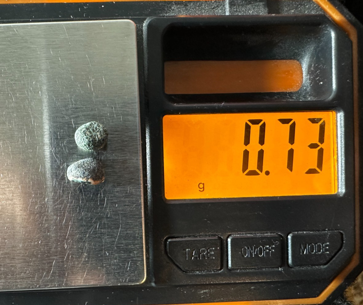 ➤3.65 Ct Lake Superior GREENSTONE(Chlorastrolite)UP Michigan Gem Isle Royal➤1105