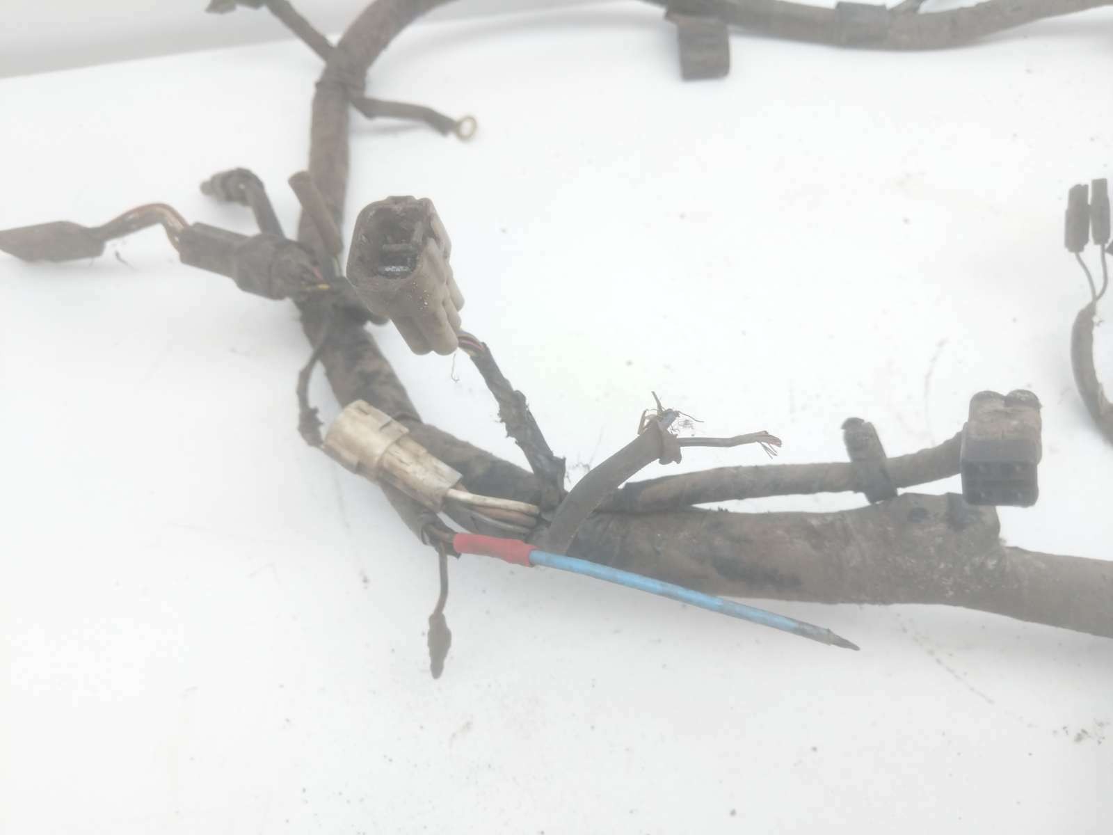 05 Kawasaki Brute Force 750 Main Wire Wiring Harness Loom (A)