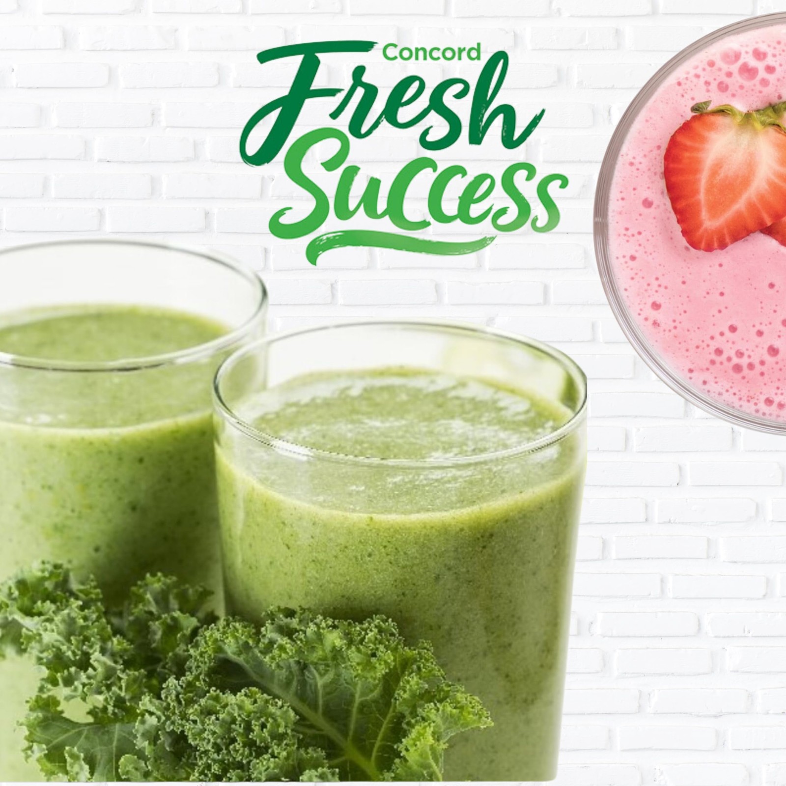 Concord Foods Orange Smoothie Mix - Citrus Flavor With No Artificial F