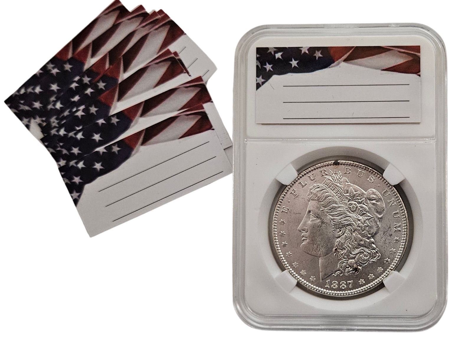 10-Pack 38mm Coin Slab Display Holder for Morgan,Peace,IKE Silver Dollars Labels