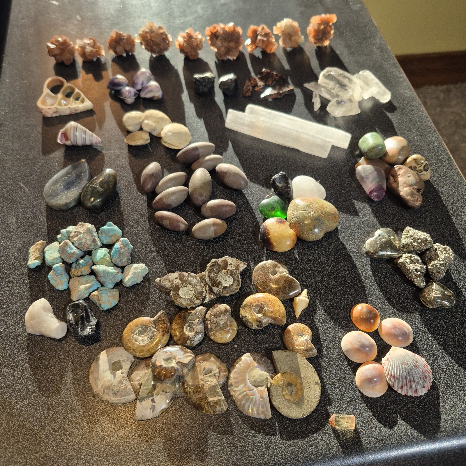 Ammonite Fossils, Crystals, Mineral Specimens, Shells, Cabochons Mixed Lot