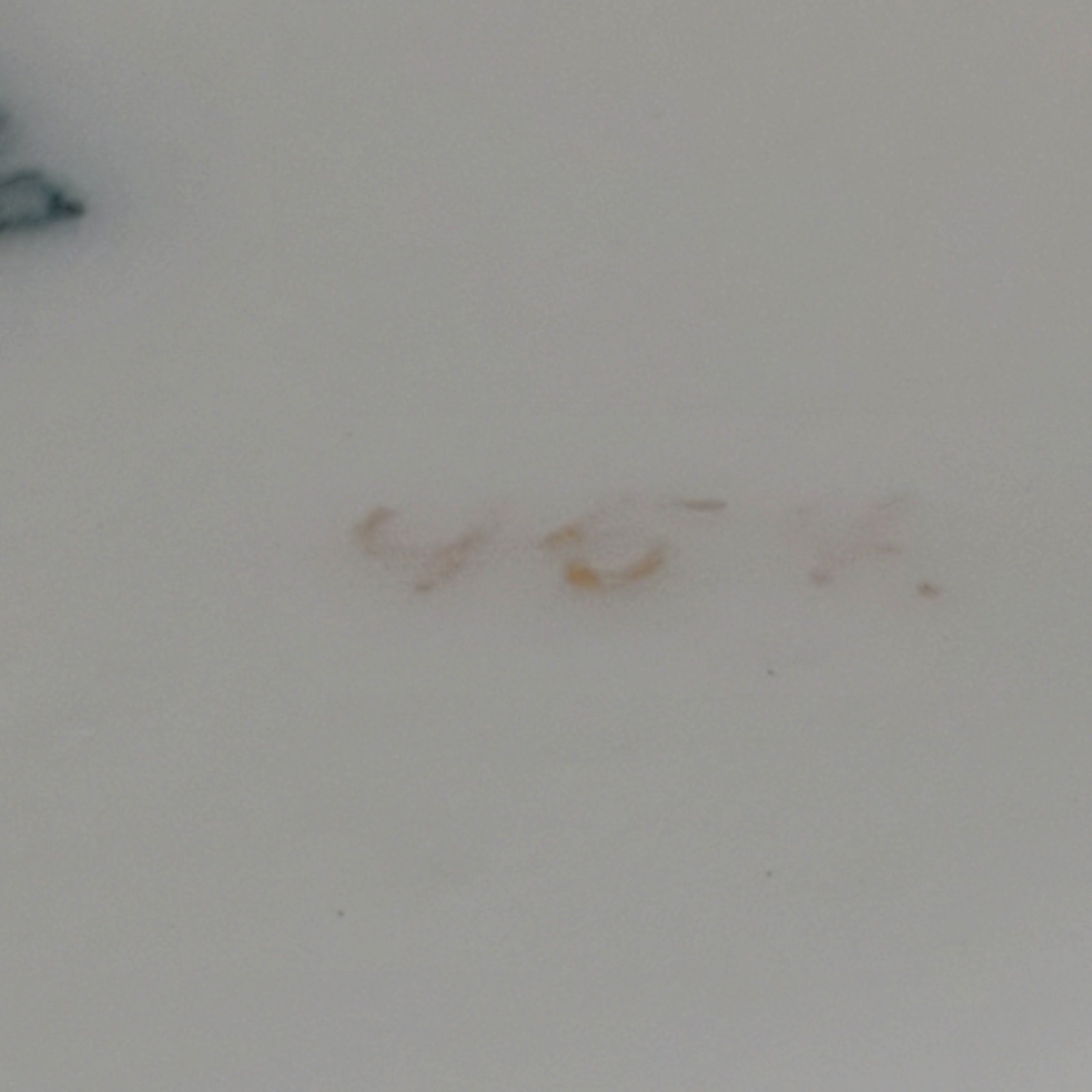 WWI Imperial German Loewen Leuven 1914-16 Belgium Porcelain Cup Schirnding AG