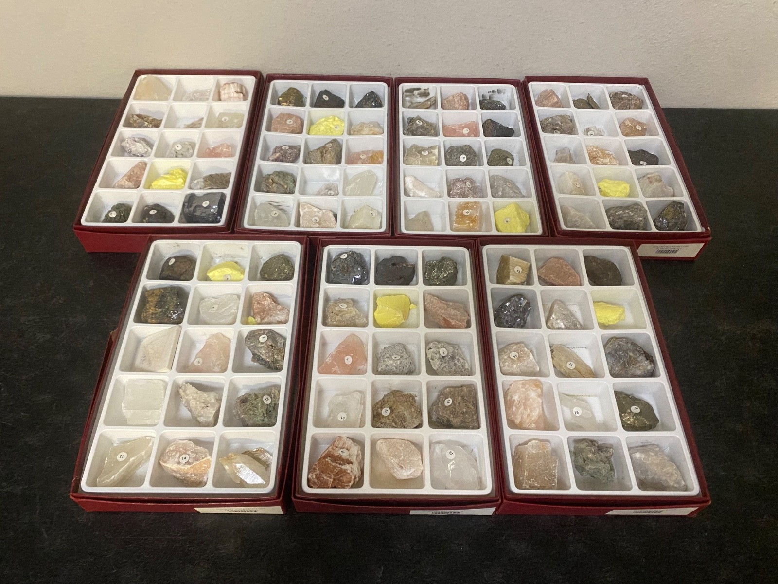 Scott Resources Fossil Rock Mineral Collection for Classroom Geology Educational