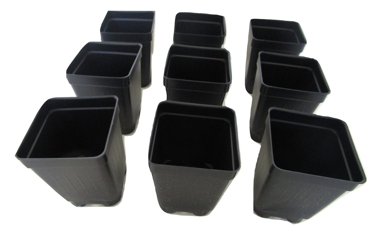 Small 2.5" Square Deep Black Plastic Greenhouse Pots - Landmark - Choose Qty