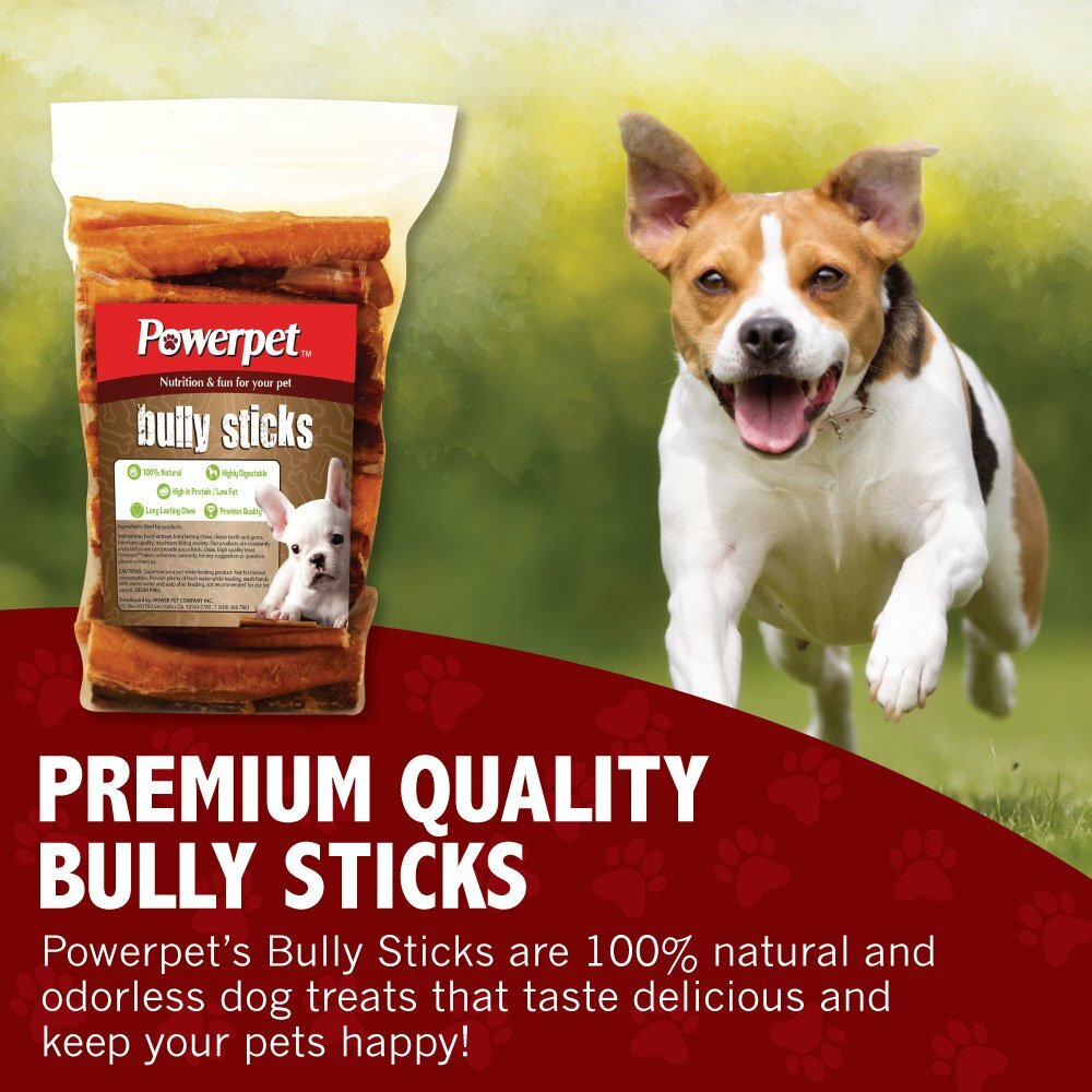 All Natural 4" Bully Jumbo Thick Sticks FDA & USDA APPROVED