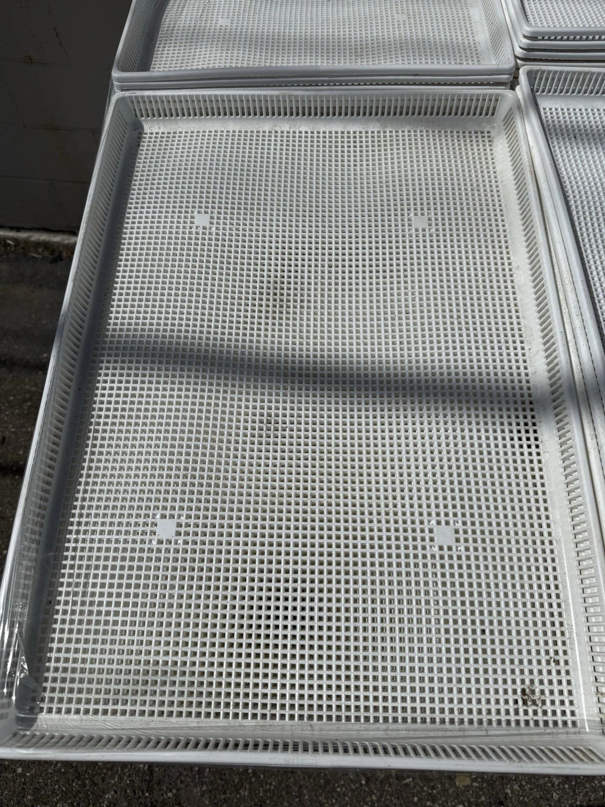 Twister Drying Trays 26" x 18" x 1.5"