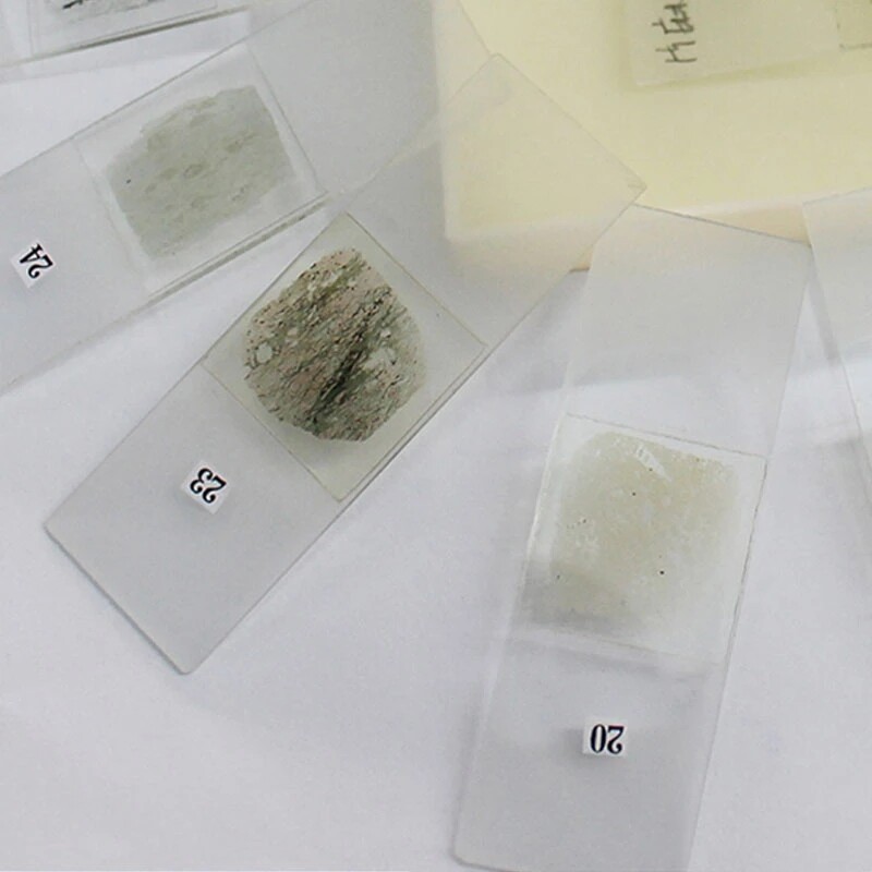 20pcs Geology Study Mineral Thin Section Prepared Microscope Rock Slides