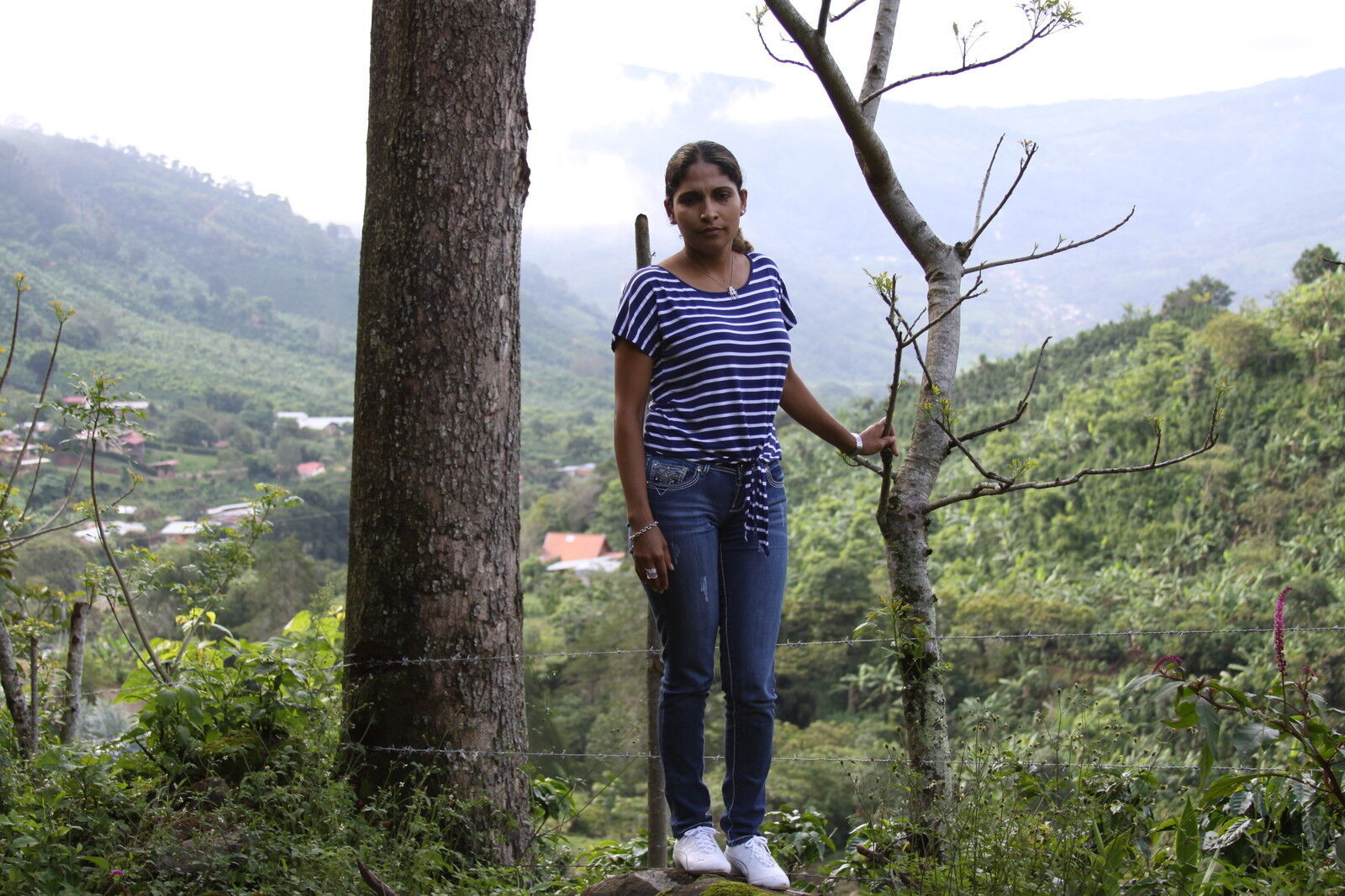 5 BEAN ESPRESSO COFFEE BEANS DARK ROASTED 5 POUNDS